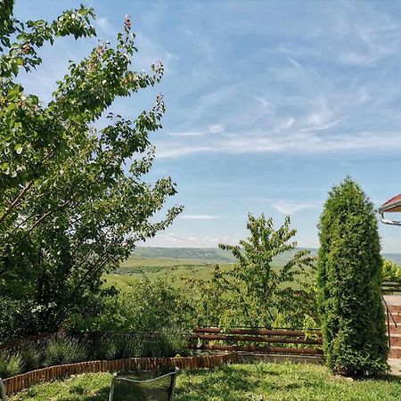 Casa Anca Hotel Kolozs Kültér fotó